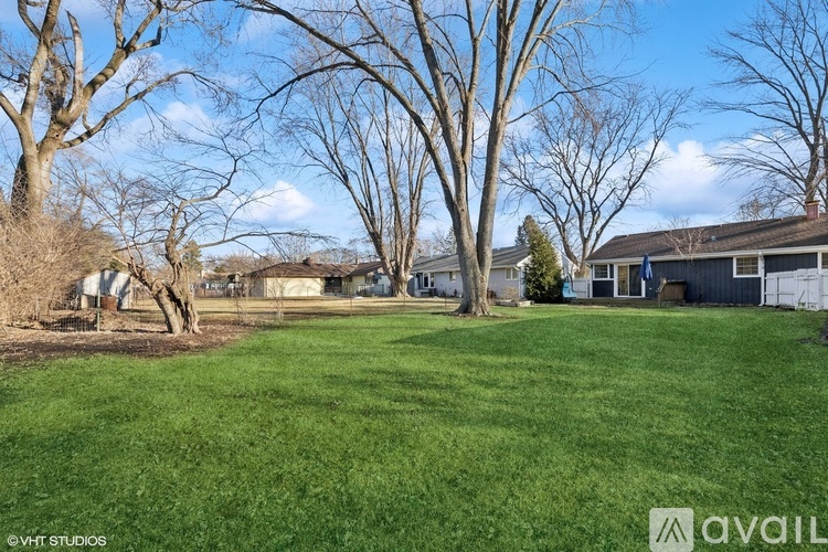 A backyard with a green lawn and leafless trees.