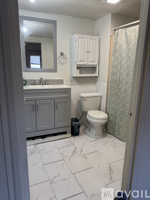 403 East Elk Street 3 Beds Single Family Home for Rent - Photo gallery 5