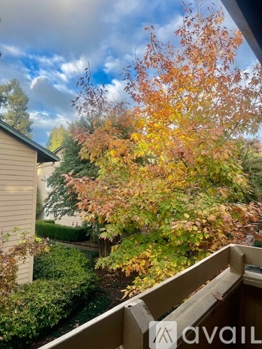A tree with orange leaves is in the foreground of a balcony.