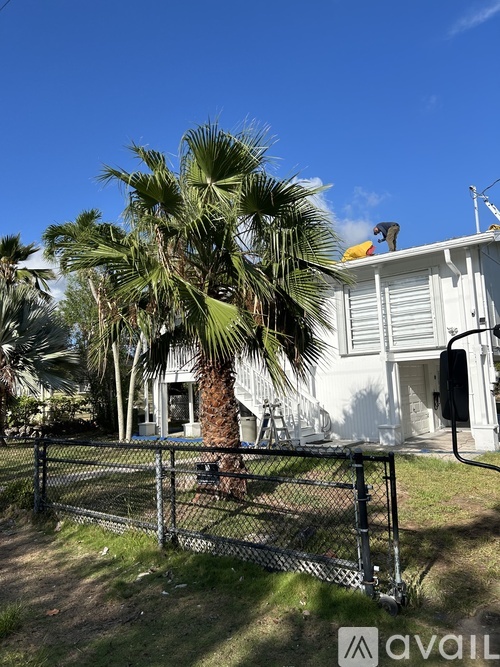 1166 Fern Ave 1 Apartment for Rent - Photo gallery 3
