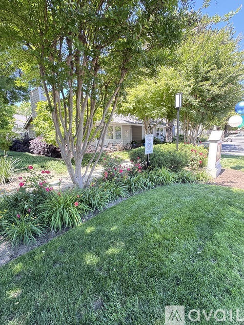 A tree in a yard with a house in the background.