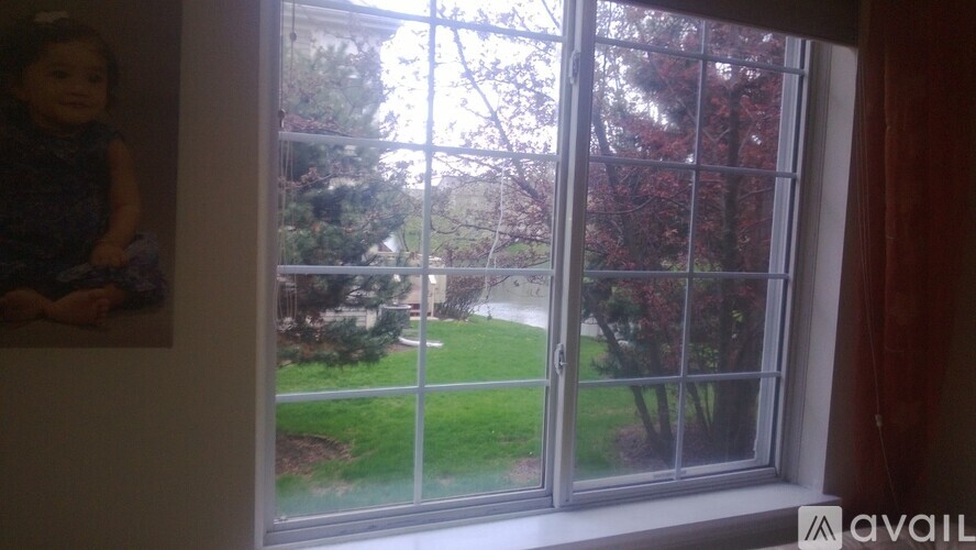 A window with a view of a green lawn and trees.