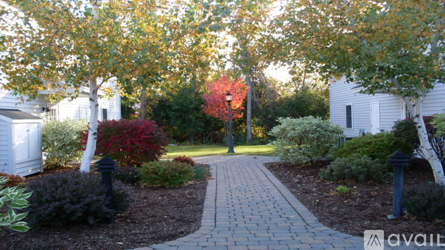 A garden pathway surrounded by shrubs and trees.