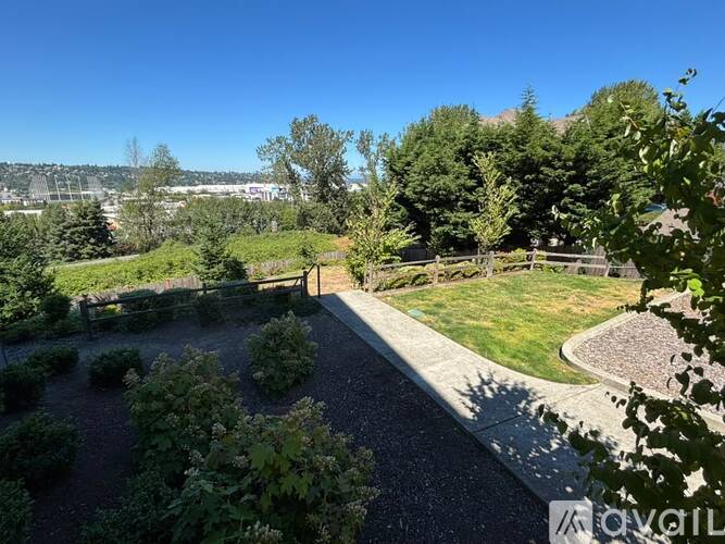 A garden with a gravel path and a wooden fence.