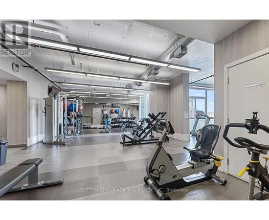 A gym with treadmills, weights, and other exercise equipment.