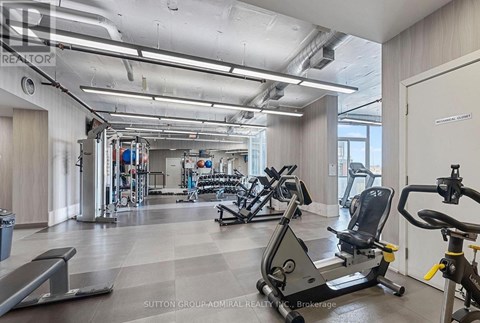 A gym with treadmills, weights, and other exercise equipment.