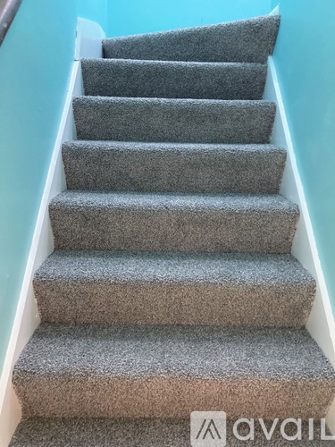 A set of stairs with a carpeted runner.