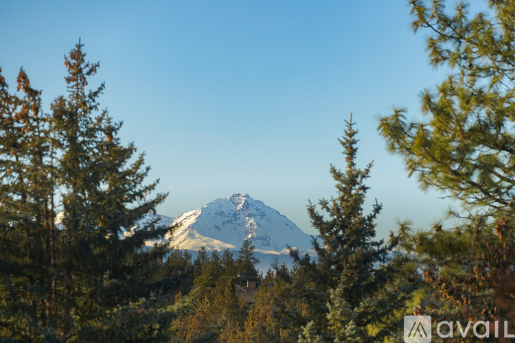 A mountain is seen through the trees in the distance.