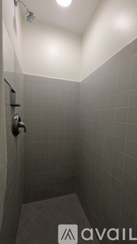 529 Myrtle Street Studio Apartment for Rent