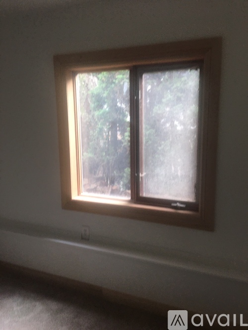 A window with a view of trees outside.