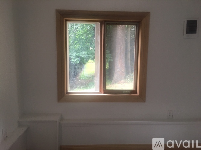 A window with a view of trees outside.