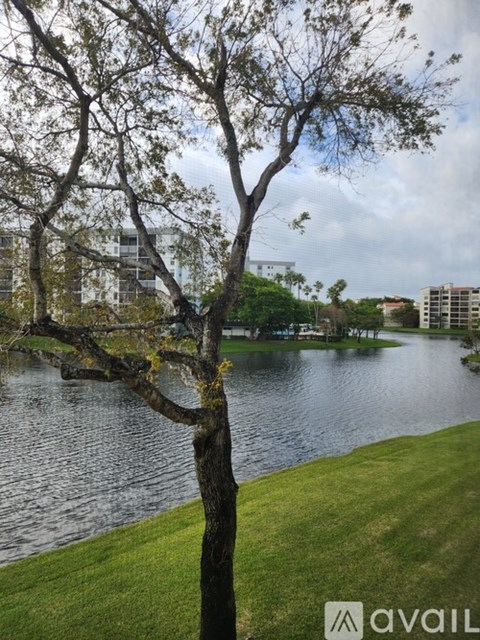 A tree stands in front of a body of water with buildings in the background.