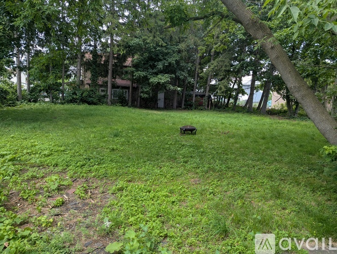 A grassy field with a tree trunk on the right side.
