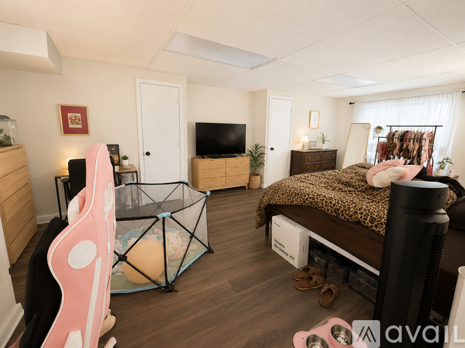 A room with a bed, a couch, a TV, and a plant.