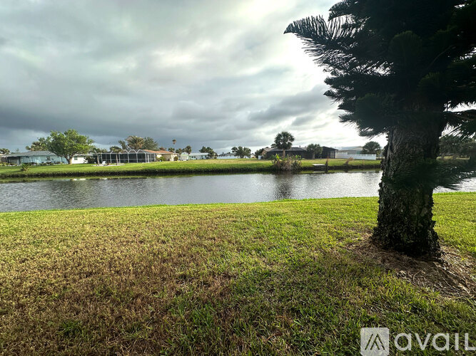 A tree stands in the foreground of a grassy area with a body of water and buildings in the distance.