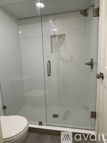 A bathroom with a toilet, a walk-in shower with a glass door, and a white door.