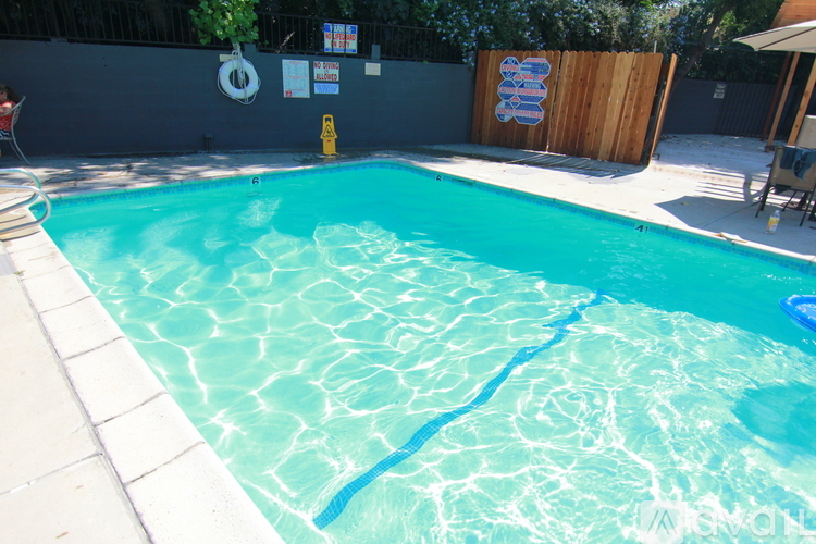 A small pool with a blue tube in it.