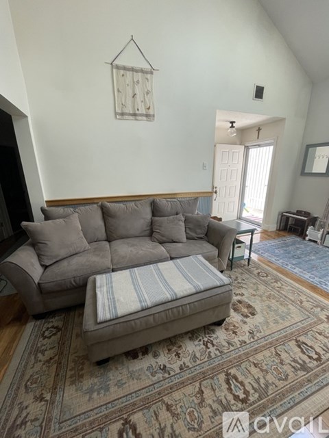 A living room with a grey couch and a rug.