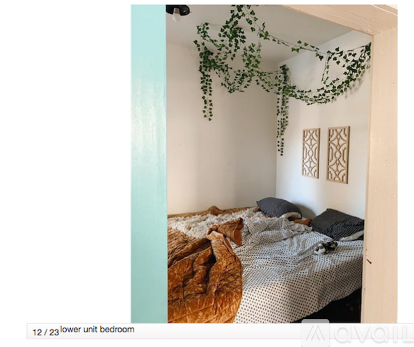A bedroom with a bed and a hanging plant.