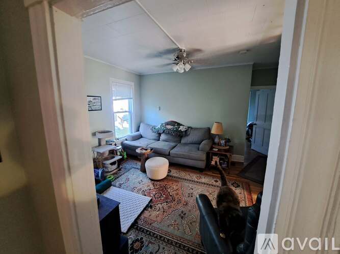 377 Pearl Street 3 Beds Apartment for Rent - Photo gallery 4