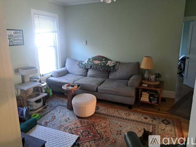 377 Pearl Street 3 Beds Apartment for Rent - Photo gallery 5