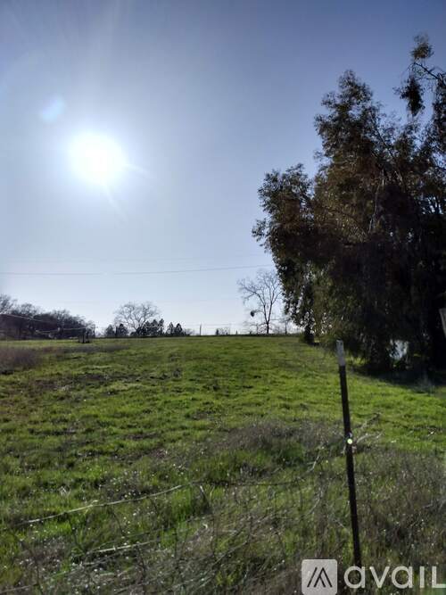1401 Hamblen Way 3 Beds Single Family Home for Rent - Photo gallery 2