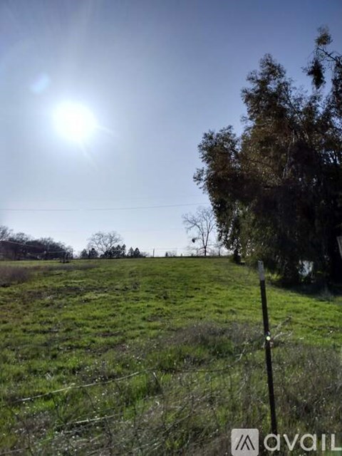 A field with a fence and a tree in the distance under a bright sun.