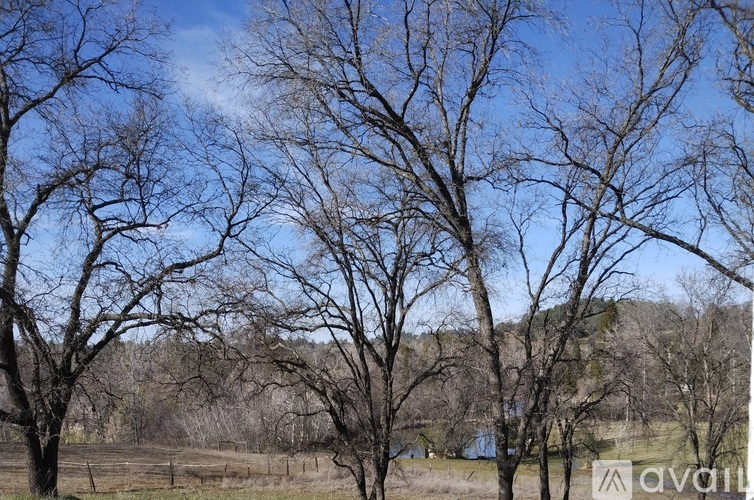 1401 Hamblen Way 3 Beds Single Family Home for Rent - Photo gallery 4