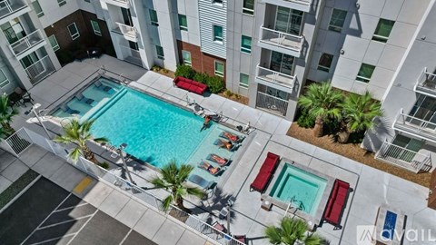 A swimming pool surrounded by palm trees and lounge chairs.