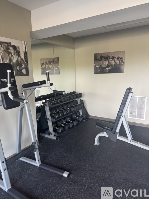 A gym room with a weight bench, a squat rack and a wall with posters.