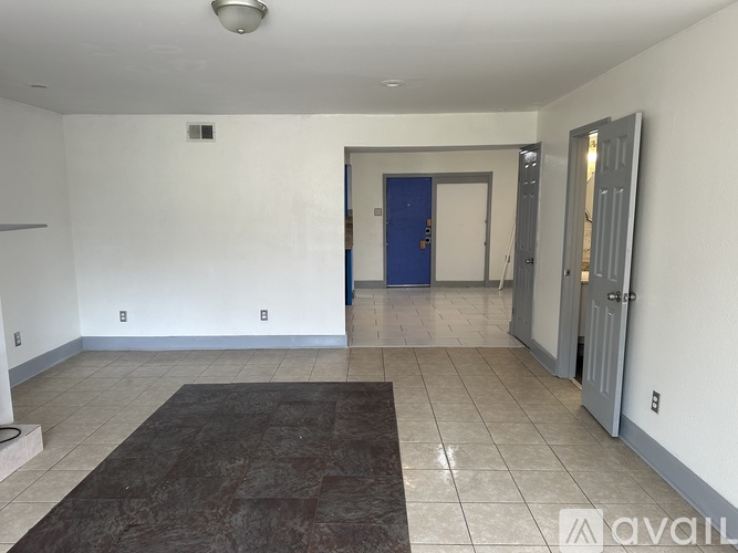 A room with a rug on the floor and a blue door.