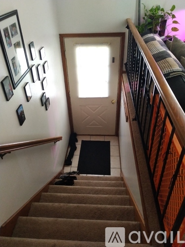 A staircase with a carpeted runner and wooden handrail.