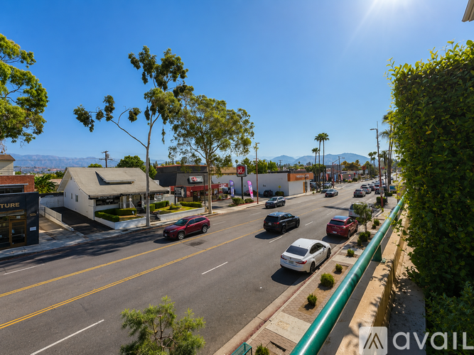 A sunny day on a street with cars and buildings.