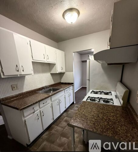 809 Silver Meadows Blvd 2 Beds Apartment for Rent - Photo gallery 4