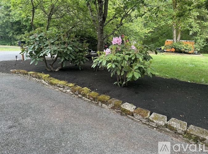 19209 Southeast 324th Street 3 Beds Single Family Home for Rent - Photo gallery 3
