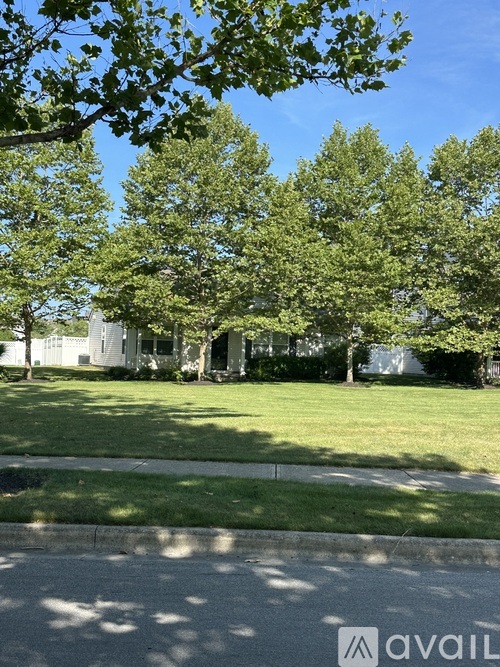 A tree-lined street with a house in the background.