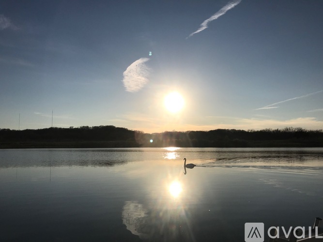 A bird is swimming in a lake with the sun setting in the background.