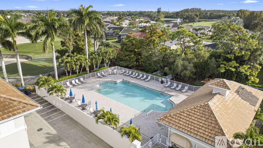 A pool surrounded by palm trees and lounge chairs.