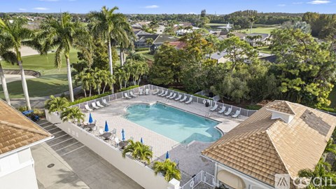 A pool surrounded by palm trees and lounge chairs.