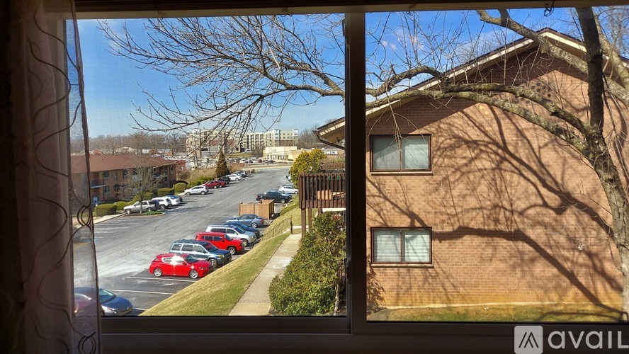 1016 West Baltimore Pike 1 Apartment for Rent - Photo gallery 2