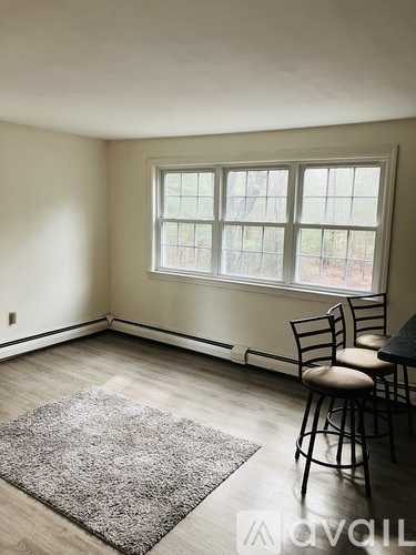 A room with a window, a chair and a rug.