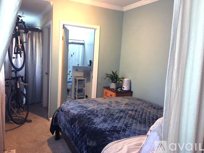 A bedroom with a bed, a mirror, a plant, and a bicycle.