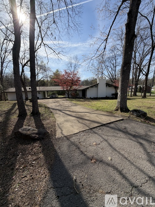 A sunny day at a park with a pathway and trees.