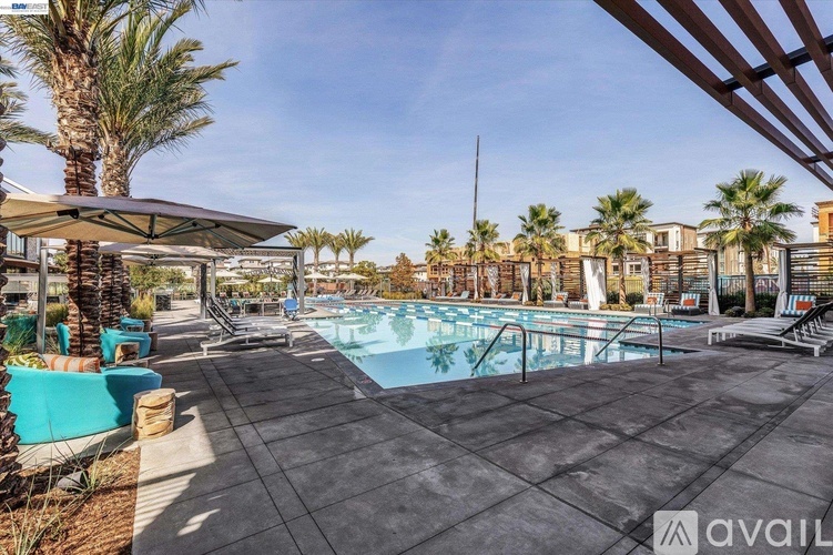 A pool area with a sunshade and palm trees.
