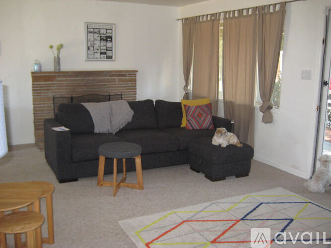A dog is sitting on a black ottoman in a living room.