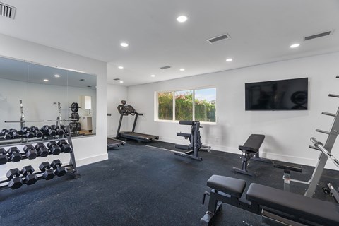 A spacious home gym with a variety of equipment including dumbbells, weight plates, a bench press, a treadmill, and a television.