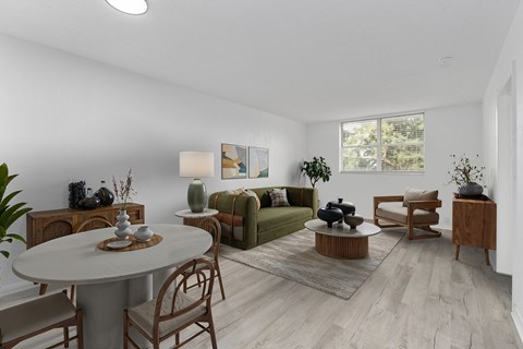 A well-lit, modern living room with a dining table and chairs, a couch, and a rug.