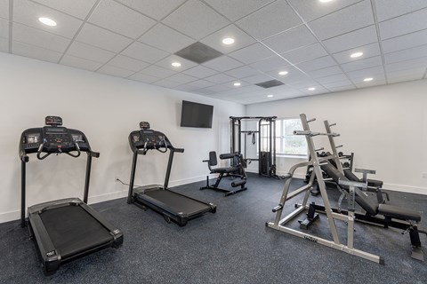 A gym with treadmills, elliptical machines, and a weight bench.