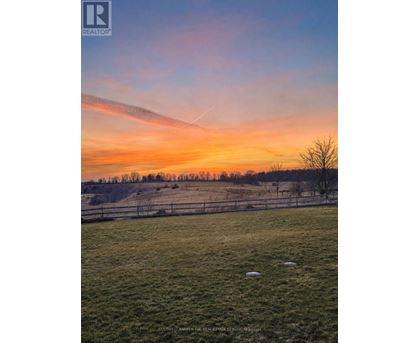A field with a fence and a tree in the distance during sunset.