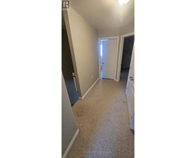 A hallway with a carpeted floor and a white door.